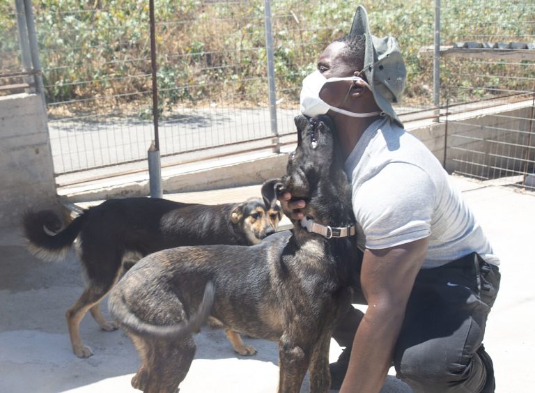 What Shelter Staff Wish Every Adopter Knew