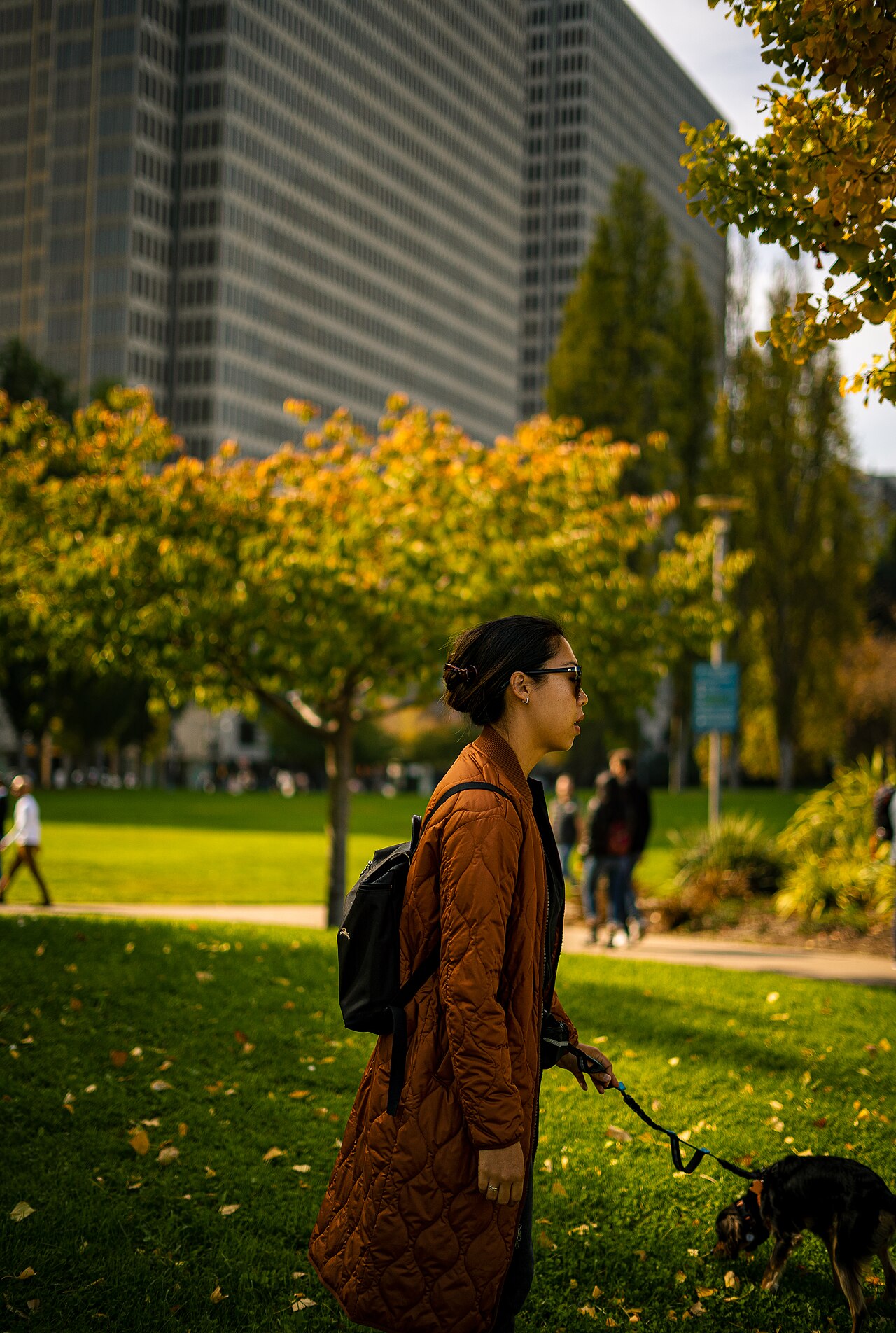 Woman walking a small dog through an autumn city park